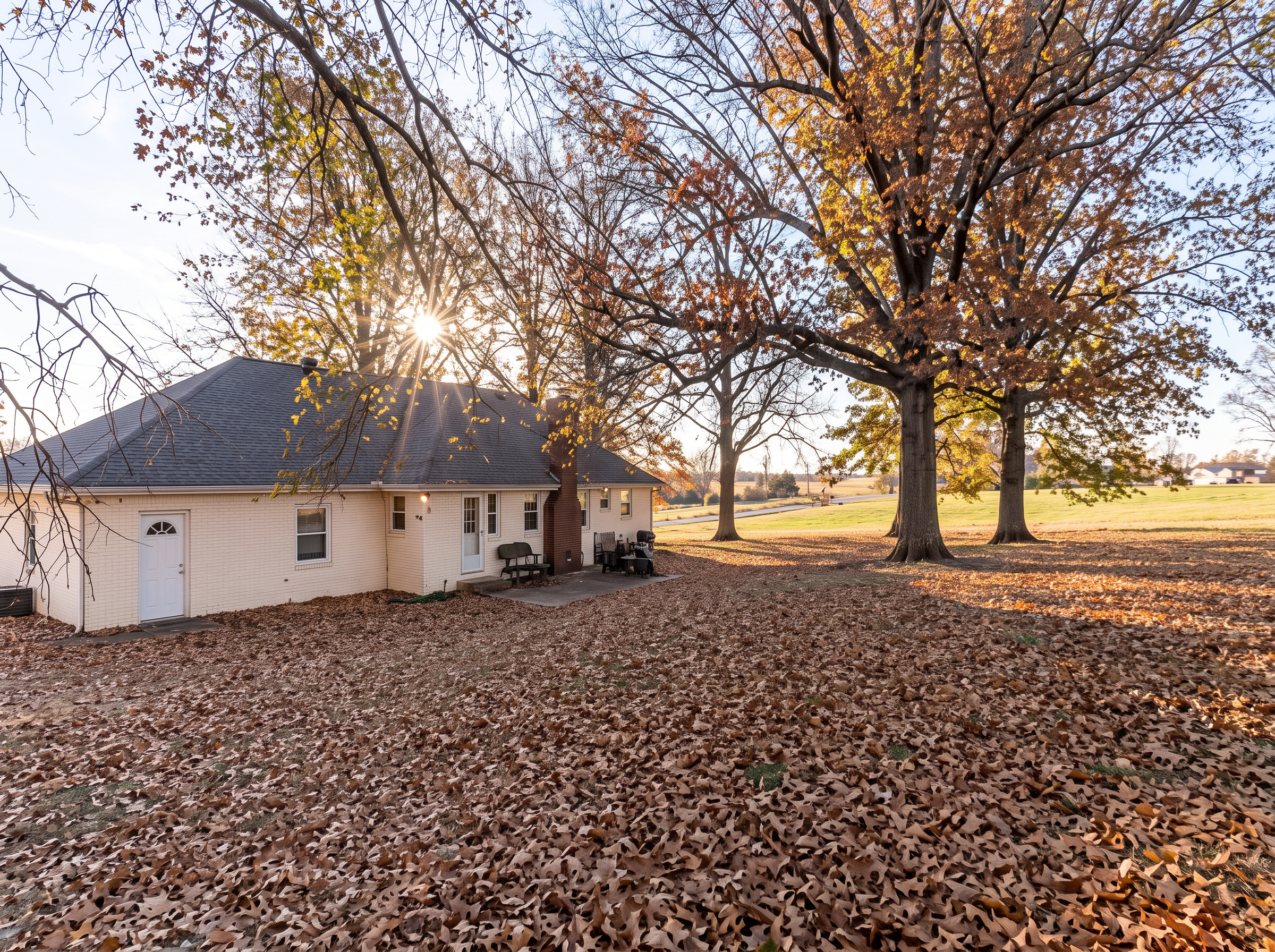 Rear Exterior & Yard — 9332 Elm Ave